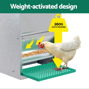 Giantz Automatic Chicken Feeder | Self-Opening Treadle – Nice N Cheap Variety Store Automatic Chicken Feeder