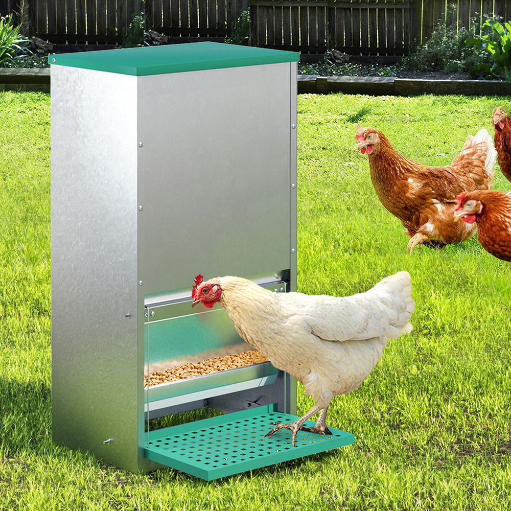 Giantz Automatic Chicken Feeder | Self-Opening Treadle – Nice N Cheap Variety Store Automatic Chicken Feeder