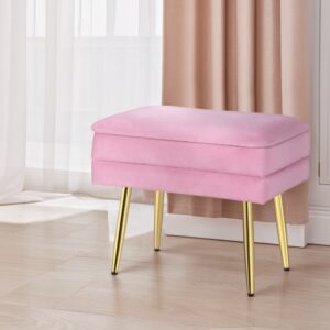 Velvet Pink Ottoman