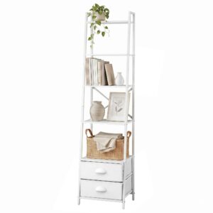 Ladder Bookshelf