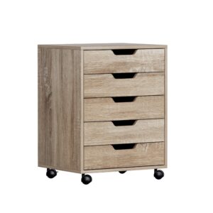 5-Drawer Filing Cabinet