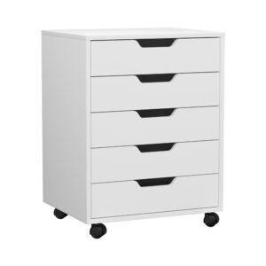 5-Drawer Filing Cabinet