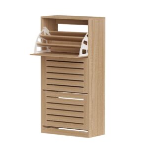 shoe cabinet storage