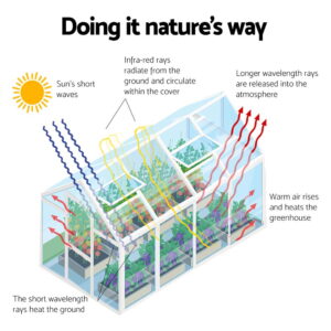 Green Fingers Greenhouse 6.03X2.44X2.68M Double Doors Aluminium Green House Garden Shed - Image 7
