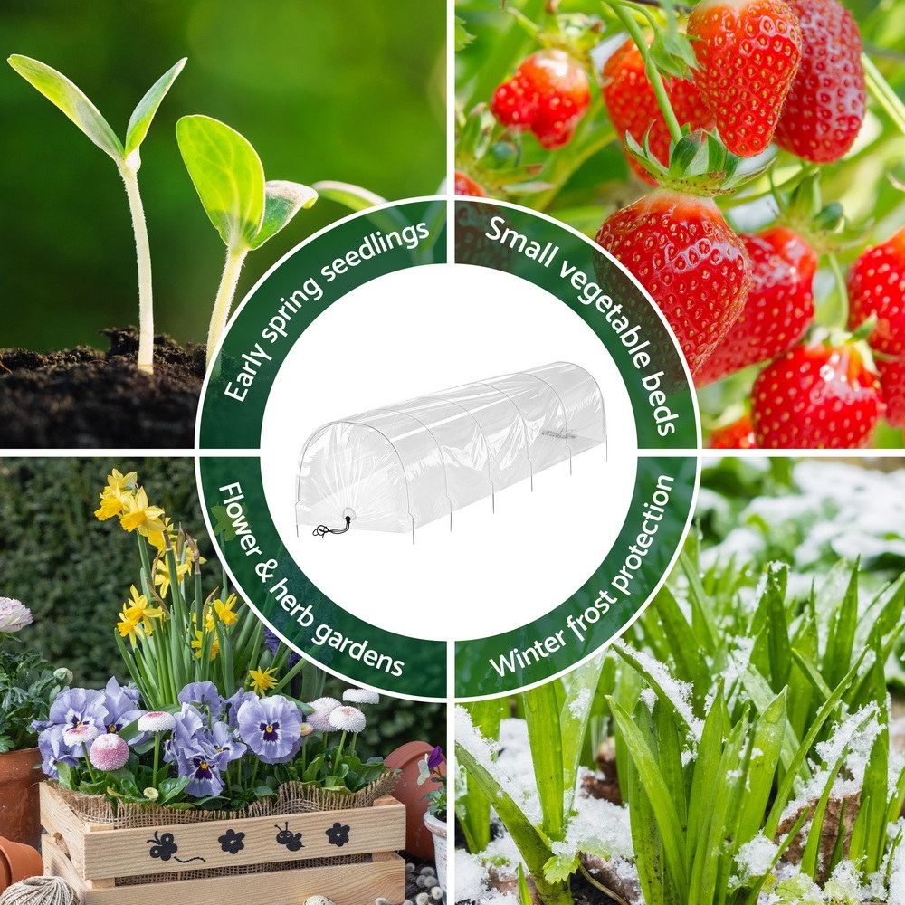 Green Fingers Mini Greenhouse 300X45X30Cm Tunnel Clear Pvc Steel Frame Portable – Nice N Cheap Variety Store Green Fingers Mini Greenhouse 300X45X30Cm Tunnel Clear Pvc Steel Frame Portable - Image 5