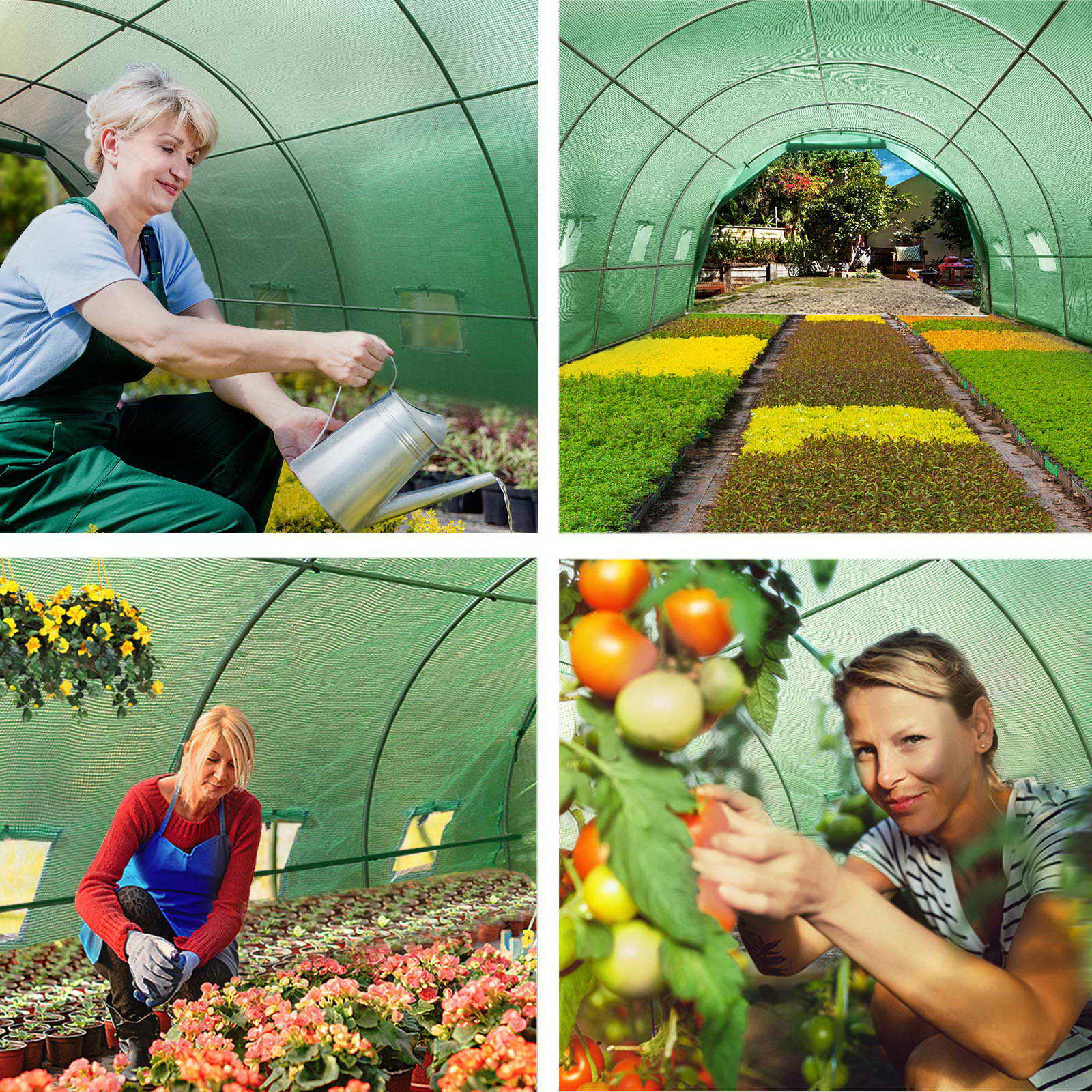 Green Fingers Greenhouse 6X3X2M Walk In Green House Tunnel Plant Garden Shed Dome – Nice N Cheap Variety Store Green Fingers Greenhouse 6X3X2M Walk In Green House Tunnel Plant Garden Shed Dome - Image 7