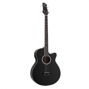 Acoustic Bass Guitar