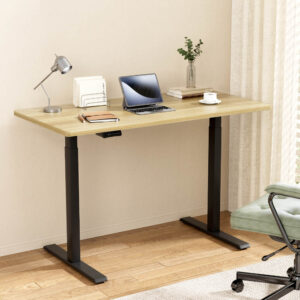 motorised standing desk