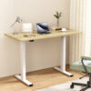 Motorised Standing Desk