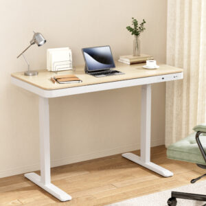 Motorised Standing Desk