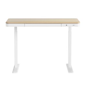 Motorised Standing Desk