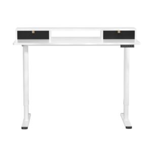 Artiss Electric Standing Desk Sit Stand Desks 120Cm – Nice N Cheap Variety Store Artiss Electric Standing Desk Sit Stand Desks 120Cm - Image 3