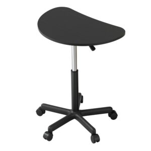Portable Laptop Desk