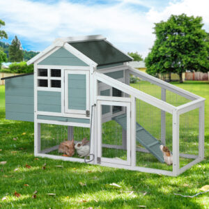 Large Chicken Coop