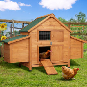Chicken Coop