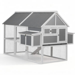 Large Chicken Coop
