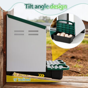 I.pet 3-Hole Roll Away Chicken Nest Box - Green – Nice N Cheap Variety Store Chicken Nesting Box