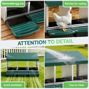I.pet 3-Hole Roll Away Chicken Nest Box - Green – Nice N Cheap Variety Store Chicken Nesting Box