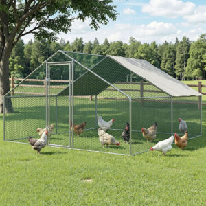 Chicken Coop Cage