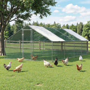 Chicken Coop Cage