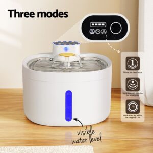 Pet Water Fountain