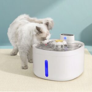 Pet Water Fountain