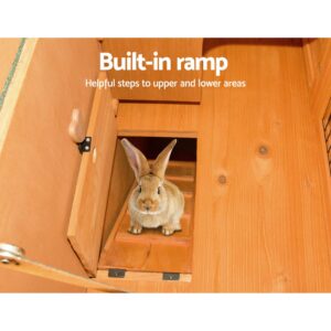 Chicken Coop Hutch