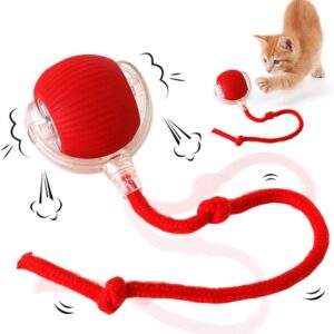 Electric Cat Ball