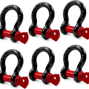 D Ring Shackles
