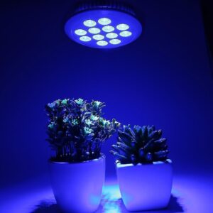Led Grow Plant Light Bulb For Indoor Plants - Image 2