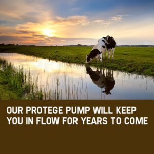 1Hp Submersible Bore Water Pump Deep Well Irrigation Stainless Steel 240V – Nice N Cheap Variety Store 1Hp Submersible Bore Water Pump Deep Well Irrigation Stainless Steel 240V - Image 11