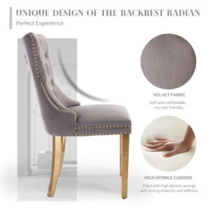 Aaden 2X Velvet Dining Chairs With Golden Metal Legs-Grey - Image 3