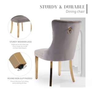 Aaden 2X Velvet Dining Chairs With Golden Metal Legs-Grey - Image 4