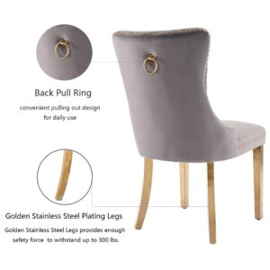 Aaden 4X Velvet Dining Chairs With Golden Metal Legs-Grey - Image 5