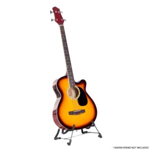Acoustic Bass Guitar