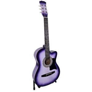 Acoustic Guitar Purple Burst