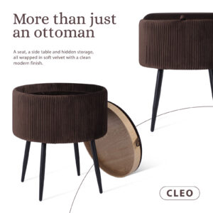Side Table Storage Ottoman - Velvet Padded Stool Vanity Footstool Cleo Brown - Image 3
