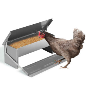 Automatic Chicken Feeder