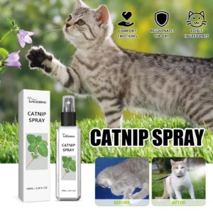 Catnip Spray