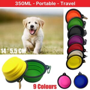 Collapsible Pet Bowl
