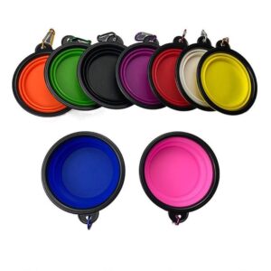 Collapsible Pet Bowl