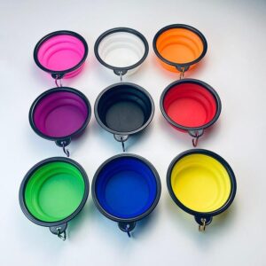 Collapsible Pet Bowl