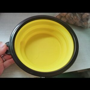 Collapsible Pet Bowl
