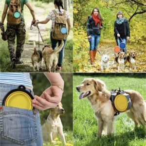 Collapsible Pet Bowl