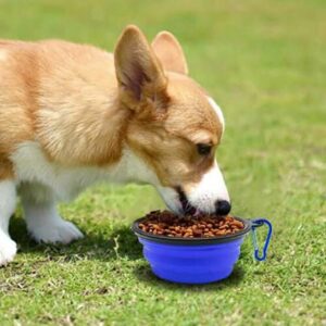 Collapsible Pet Bowl