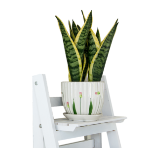 5 Tier Wooden Ladder Shelf Stand Storage Book Shelves Shelving Display Rack - Image 6