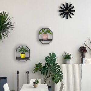 Floating Wall Shelf Storage Display Mounted Rack – Nice N Cheap Variety Store Floating Wall Shelf Storage Display Mounted Rack - Image 5