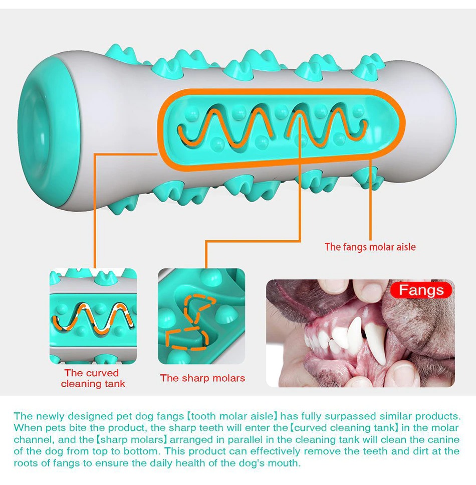 Green Squeaky Dog Chew Toy For Aggressive Chewers – Nice N Cheap Variety Store Dog Chew Toy