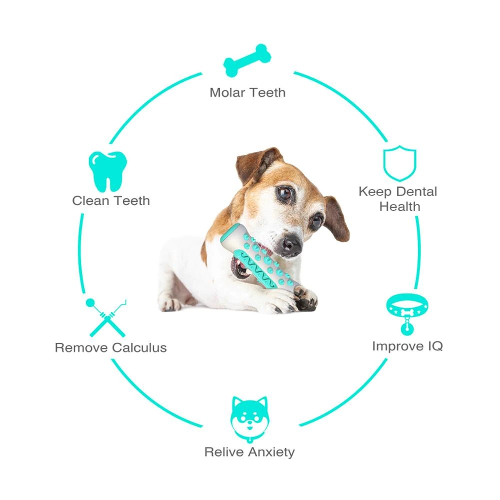 Green Squeaky Dog Chew Toy For Aggressive Chewers – Nice N Cheap Variety Store Dog Chew Toy