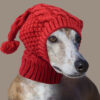 Red Whimsical Knit Dog Hat With Pom-Pom - Size M – Nice N Cheap Variety Store Knit Dog Hat